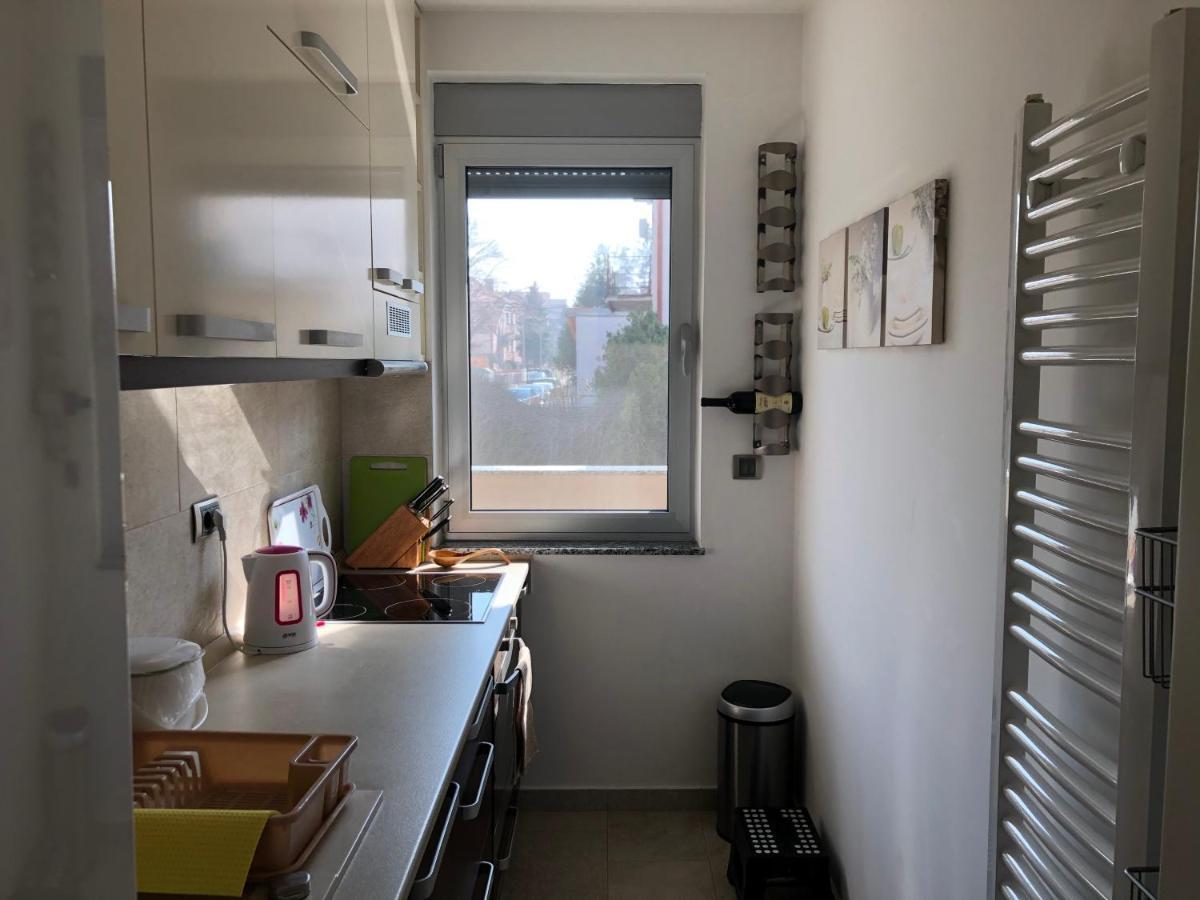 Modern 1 Bed Apartment, Near Shopping Mall Stadion Belgrad Exteriör bild